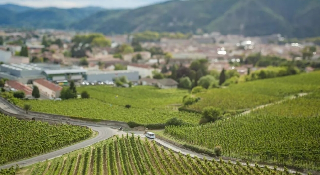 北羅納河谷特級產區(qū)葡萄園 北羅納河谷特級產區(qū)葡萄園